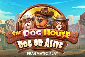 TwinWin — The Dog House – Dog or Alive