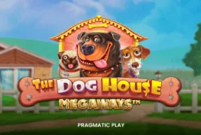 TwinWin — The Dog House Megaways